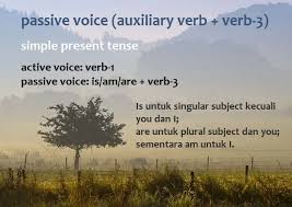 Affirmative, negative, interrogative affirmative negative interrogative i am a doctor. Passive Voice Simple Present Tense Rumus Dan Contoh Kalimat