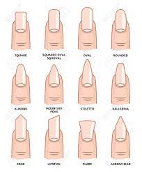 Babyboom Nagels Kleur Google Zoeken Acrylic Nail Shapes Nail Shapes Different Nail Shapes