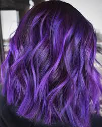 30 Ideas Of Black Hair With Highlights To Rock In 2021 Hair Adviser Black Hair With Highlights Hair Highlights Purple Hair Highlights