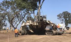 Tree Movers Near Me Tree Mover Tree Transplanting Tree Service Environmental Design