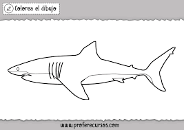 Tiburón de dibujos animados imágenes gráficas png descarga gratuita, categoría: Dibujo De Tiburon Profe Recursos