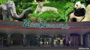 Check spelling or type a new query. Zoo Negara Malaysia Selangor A Place To Meet The Giant Panda In Malaysia 360tour Asia