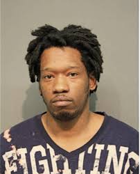 ᐅ Illinois Criminal Records 2009-2026