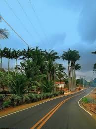 Tropical Road A Photo From Ceara Northeast Trekearth Brazil South America Road