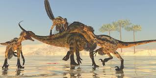 Deinonychus there's strong consensus among scientists that today's birds are actually dinosaurs, and that they. Raptor Teeth Reveal Unexpected Hunting Habits What Are Raptors
