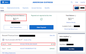 Ideal for loyal but infrequent flyers if you dig delta but can't stomach an annual fee, this card may fit the bill, as long as you don't mind the lack of perks like free. Keep Cancel Or Convert American Express Platinum Delta Skymiles Credit Card 0 Annual Fee