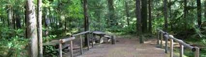 From detroit, follow hwy 22 southeast for 8 miles to whispering falls campground. Whispering Falls Campground Willamette National Forest Recreation Gov