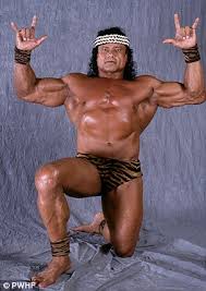 Jimmy Snuka Puroresu System Wiki Fandom
