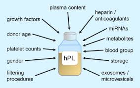Fetal Bovine Serum (Fbs) | Bio-Techne