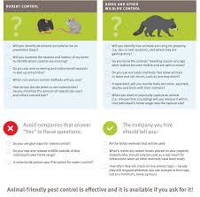 Your attic is appealing because it's dark and. Animalkind Choosing A Wildlife And Rodent Control Company