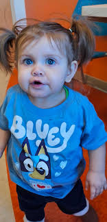 Dear Mason community, Dansville, Leslie. Our Daughter Ellie Sherwood, Ellie  Cater a 2007 graduate and Alum soccer player. Desperately needs a living  kidney donor. She is O Pos and