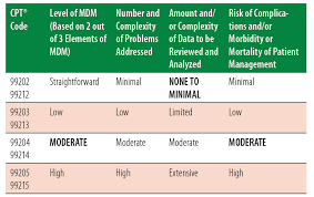 All other encounters (for example, hospital visits, nursing home visits, er visits, etc.) will continue to utilize the 1995 or 1997 mdm rules. Ob Gyn E M 2021 Be Prepared To Defend Your Code Selection Aapc Knowledge Center