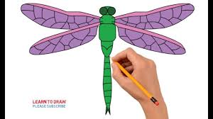 How To Draw A Dragonfly Step By Step Easy For Kids Dragonfly Drawing Fly Drawing Drawing For Kids