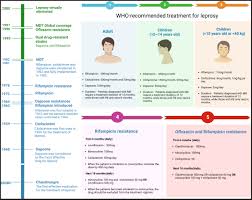 Frontiers | Leprosy: treatment, prevention, immune response and gene  function