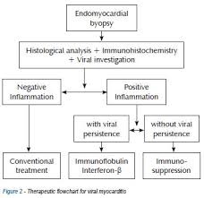 Current trends in diagnosis and treatment. I Brazilian Guidelines On Myocarditis And Pericarditis
