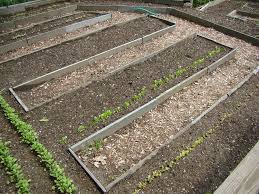 You don't have to plant all your vegetables together in one plot. Garden Soil How To Prepare Your Soil For A Garden Garden Design