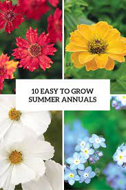 This season is no different, with (tiny seeds such as those of petunia, impatiens and coleus must be grown in pots indoors first and need warmth and light to germinate). 10 Easy To Grow And Bold Summer Annual Flowers Gardenoholic