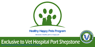 My co workers were fun and supportive to be around. Healthy Happy Pets Program Vet Hospital Port Shepstone
