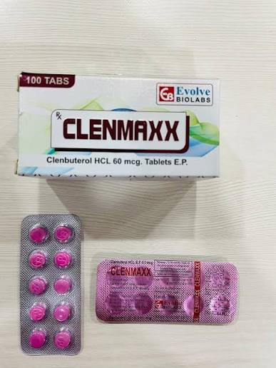 Evolve Biolabs 60 mcg Clenmaxx Tablets Clenbuterol Tablets at ₹ 1794/strip in Nagpur