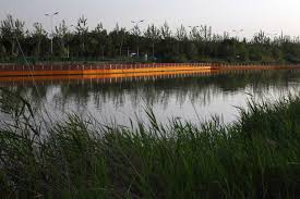 银川艾依河滨水公园 毕路德 mooool木藕设计网 river waterfront park