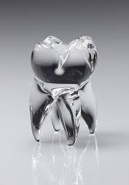 Wisdom Tooth Sculpture By Carrie Frost And Patrick Frost Art Glass Sculpture Artful Home Art Glass Paperweight Teeth Art Glass Paperweights