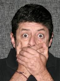 Boletín de Pequeñas Noticias Nº 335