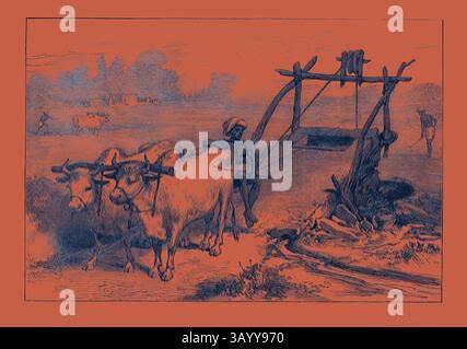 The Famine in Bengal: Indian mode of irrigation, 1874. Illustration showing the mode of '...applying water to the fields, as practised from time immemorial by the poor husbandmen of India... [The engraving