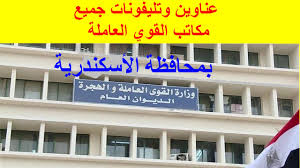عناوين وأرقام تليفونات جميع مكاتب القوي العاملة بالاسكندرية
