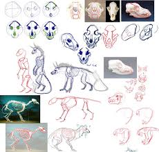 How To Sketch Canine Skulls By Remarin Canine Drawing Canine Skull Drawings