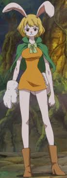 One piece compass left behind. Category Female Characters One Piece Wiki Fandom