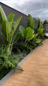 Dara Him (cambodgdara11)