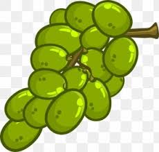Download the grapes, food png. Green Grapes Png 1000x1000px Common Grape Vine Flora Food Fruit Grape Download Free