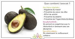 L'avocat est un fruit plutôt unique. Avocat Est Bon Pour La Sante Ou Pas Dietetique En Ligne