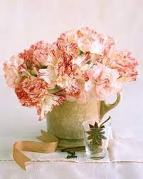 The Carnation Myth Carnations Flower Care Faux Flowers