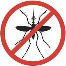 Résultat de recherche d'images pour "protection contre les moustiques"
