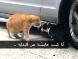 شعر نزار قباني في الغزل. Ù…Ù‚Ø·Ø¹ ÙŠÙ…Ù†ÙŠ Ù…Ø¶Ø­Ùƒ Youtube