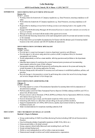 Assistant document controller resume examples & samples. Documentation Resume Samples Velvet Jobs
