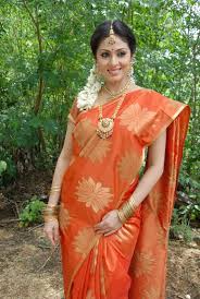 Beauty Galore HD : Sadha Gorgeous And Hot In Orange Saree