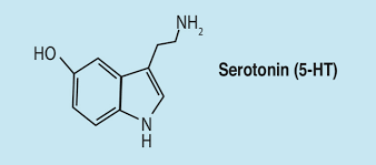 Image result for Serotonin