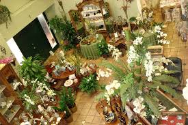 Maybe you would like to learn more about one of these? Trias Flowers And Events Shopping In Ludlam Tropical Park Miami