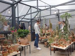 There are also parks and a pet store at grand & essex street. Trendy La Based Cactus Store Now Selling Out Of Essex Street Greenhouse Bowery Boogie