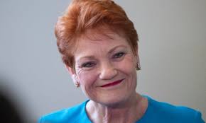 Pauline Hanson sparks fury with claim domestic violence victims are lying  to family court