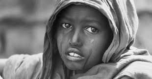 City of Nedlands (@cityofnedlands) • Instagram photos and videos