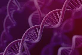 And it's probably no surprise that. Genetic Stability Testing Charles River