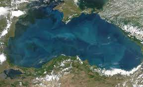Delfinii din marea neagră, amenințați de plasele pescarilor și de plastic! Descoperire FabuloasÄƒ In Marea NeagrÄƒ Insula Serpilor RÄƒmÄƒsiÅ£Äƒ A Atlantidei