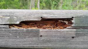 Our woodworkers have the skill and experience. How Much Does Wood Rot Repair Cost Howmuchisit Org