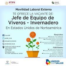 Tienes Servicio Nacional De Empleo Chihuahua Facebook