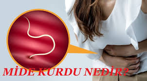 Mide Kurdu Neden Olur Belirtileri Ve Tedavisi Nedir Saglik Haberleri Movie Posters Movies Poster