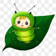 Udara yang terlarut dalam air memasuki mulut dan mengalir keluar melalui insang. Noorhalissah Abd Wahab Halissahh Profile Pinterest