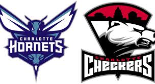Charlotte hornets logo the charlotte hornets logo in vector format(svg) and transparent png. Charlotte Hornets Png Hd Charlotte Hornets Logo Jpg Clipart Full Size Clipart 1419929 Pinclipart